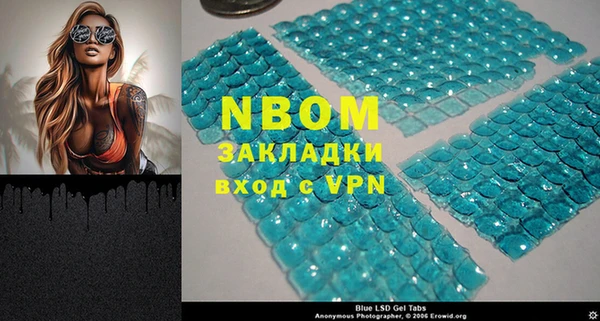 хмурый Гусь-Хрустальный