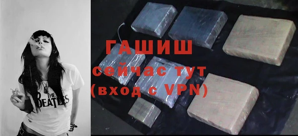 хмурый Гусь-Хрустальный