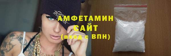 хмурый Гусь-Хрустальный