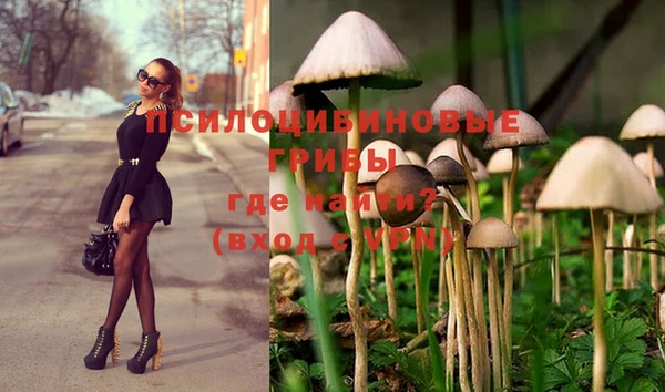каннабис Горняк