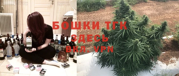 PSILOCYBIN Надым