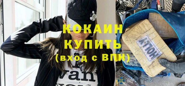 хмурый Гусь-Хрустальный