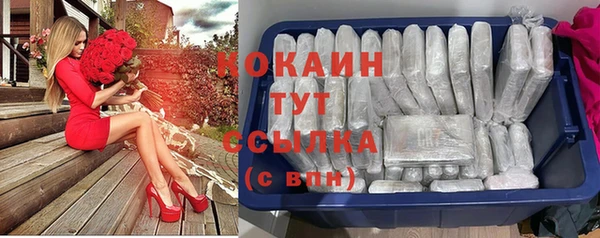 хмурый Гусь-Хрустальный