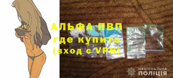 хмурый Гусь-Хрустальный