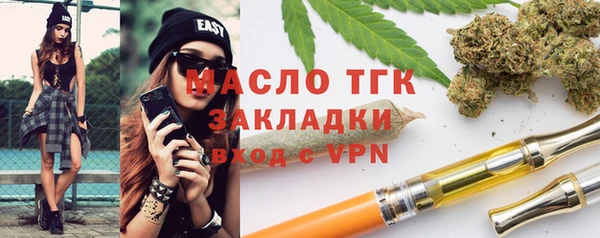 хмурый Гусь-Хрустальный